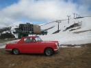 Herald on top of Australian Alps